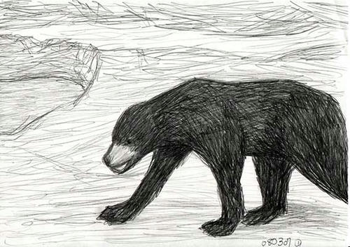 080308-c.jpg