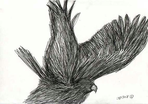 080309-c1.jpg