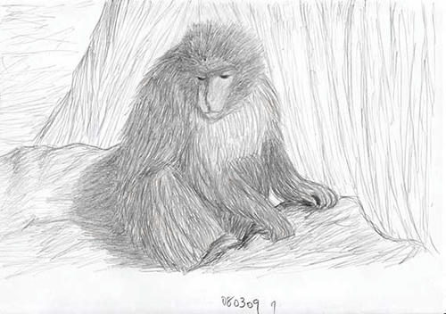 080310-c4.jpg