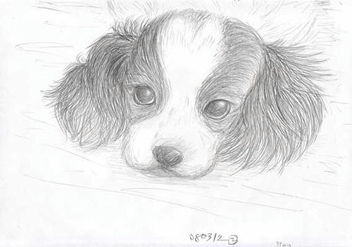 080313-c2.jpg