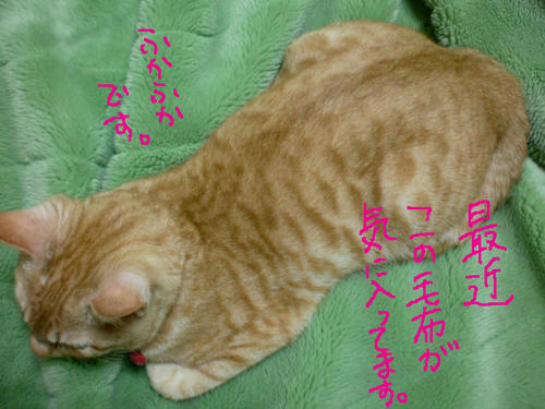 SANY0550.jpg