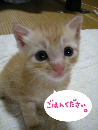 DSCN0049.jpg