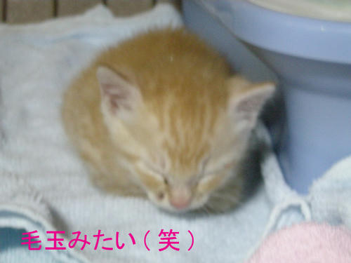 DSCN0077.jpg