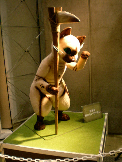 SANY1108.JPG