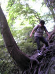 9645bd66jpeg