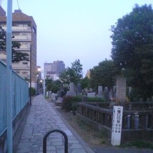 20070605 graveyard