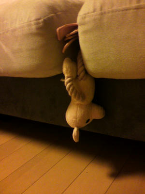 P1000109.JPG
