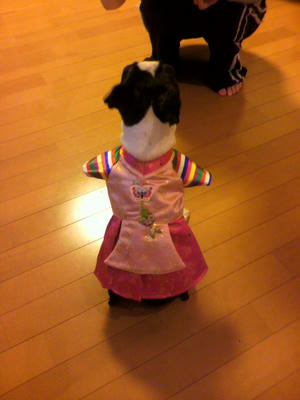 P1000137.JPG