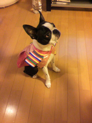 P1000138.JPG
