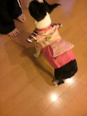 P1000139.JPG