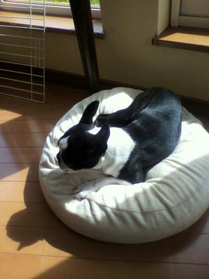 P1000163.JPG