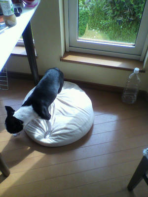 P1000162.JPG
