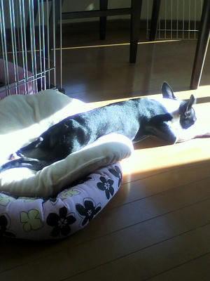 P1000186.JPG