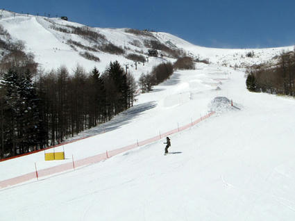 img_794386_45385323_1.jpg