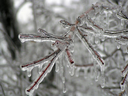 800px-Ice_Storm_Kansas.jpg