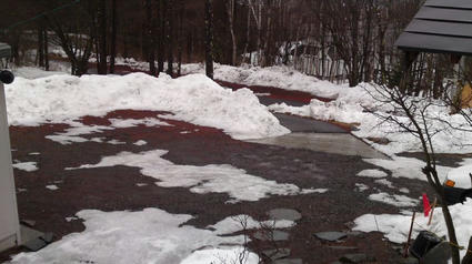 110301_1230_01.jpg