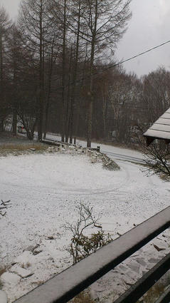 DSC_0176.JPG