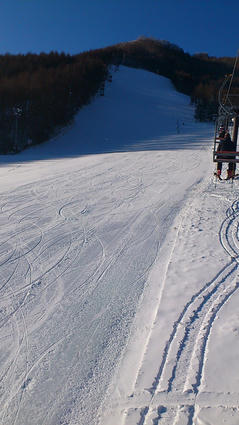 DSC_0233.JPG