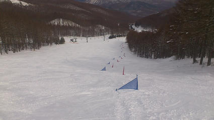 DSC_0367.JPG