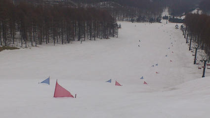 DSC_1175.JPG