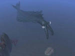 250px-Anomalocarid.jpg