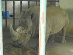 hukuokazoo5.jpg