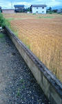 090621_1721~0001.jpg