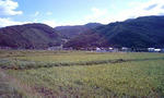 091009_0955~0001.jpg