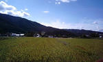 091009_0956~0001.jpg