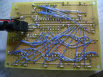 CIMG5010.JPG