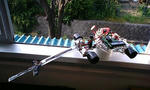 100610_1607~0001.jpg