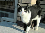 jpg-CIMG0235.jpg