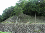 CIMG0453.jpg