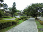 CIMG0455.jpg