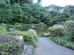 CIMG0457.jpg