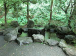 CIMG0458.jpg