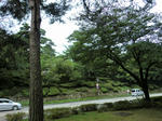 CIMG0459.jpg
