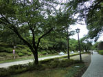 CIMG0460.jpg