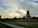 CIMG1171.jpg