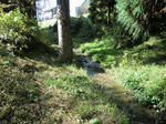 CIMG1623.jpg