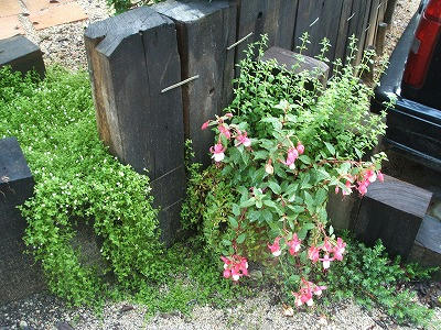 DSCF2292.jpg