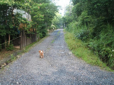 DSCF2290.jpg