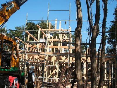 DSCF1426.jpg