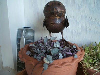 DSCF2461.jpg