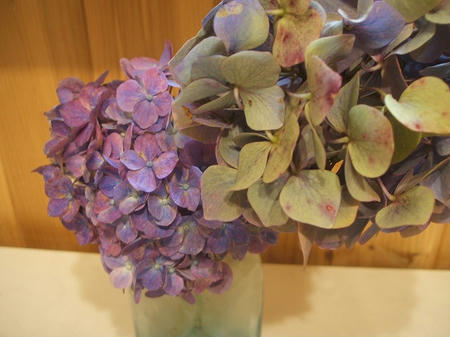 DSCF2621.jpg