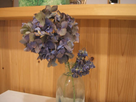 DSCF2628.jpg