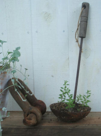 DSCF2640.jpg
