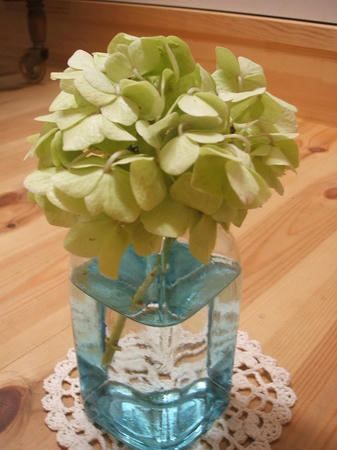 DSCF2666.jpg