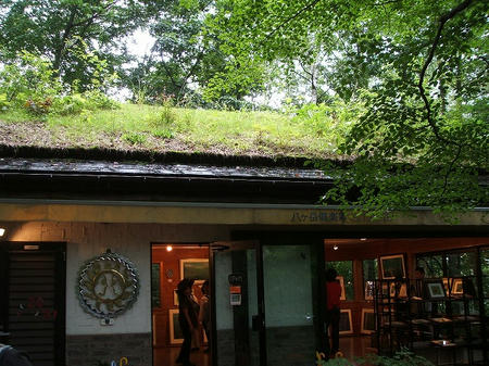 DSCF2707.jpg
