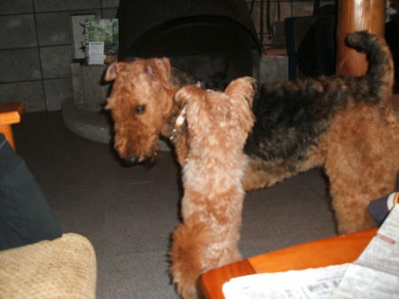 DSCF2716.jpg